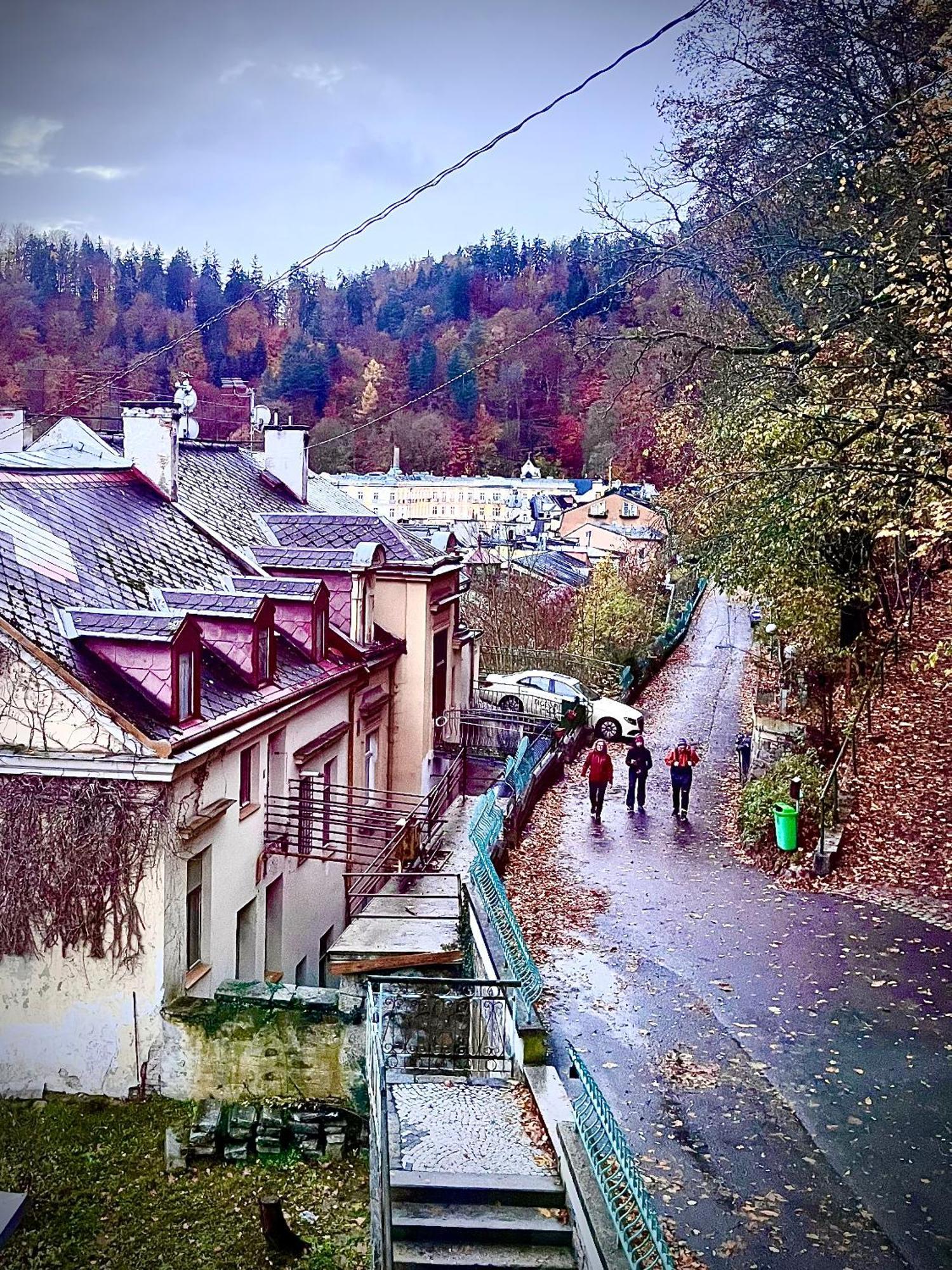 Bohemian City - Amazing View, Garage Karlovy Vary Bagian luar foto